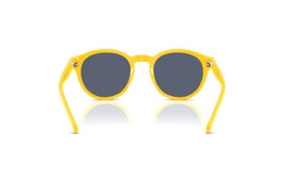 Rückansicht Polo PH4192 (542087)