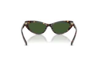 Rückansicht Polo PH4199U (500371)