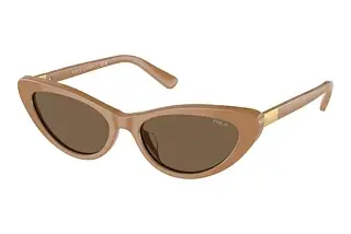 Polo PH4199U 619673 Dark BrownShiny Brown