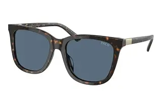 Polo PH4201U 500380 BlueShiny Dark Havana