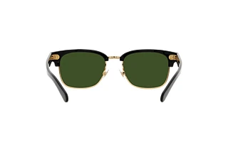 Rückansicht Polo PH4202 (500171)