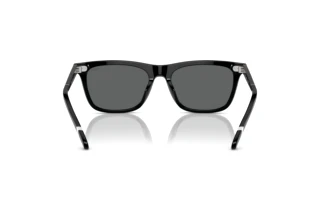 Rückansicht Polo PH4205U (500187)