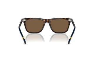 Rückansicht Polo PH4205U (500373)