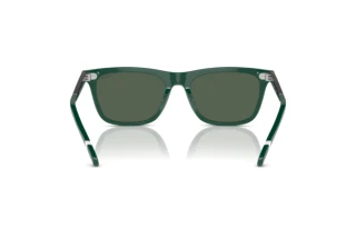 Rückansicht Polo PH4205U (614171)