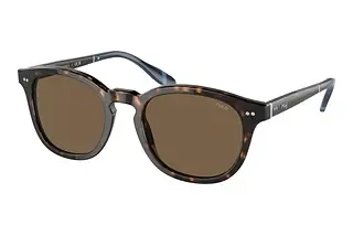 Polo PH4206 500373 BrownShiny Dark Havana