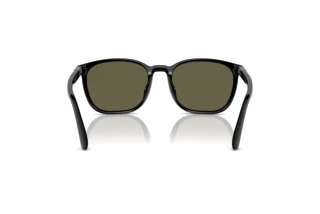 Rückansicht Polo PH4208U (5001/3)