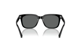 Rückansicht Polo PH4210 (500187)