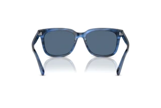 Rückansicht Polo PH4210 (613980)