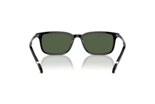 Rückansicht Polo PH4212 (50019A)