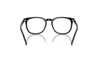 Rückansicht Polo PH4214 (500187)