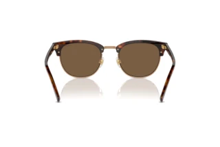 Rückansicht Polo PH4217 (613773)