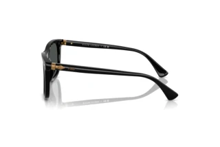 Seitenansicht Polo PH4220U (500187)