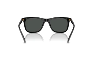 Rückansicht Polo PH4220U (500187)