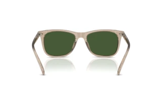 Rückansicht Polo PH4220U (620171)