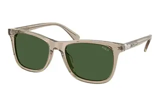 Polo PH4220U 620171 Bottle GreenShiny Transparent Dark Taupe