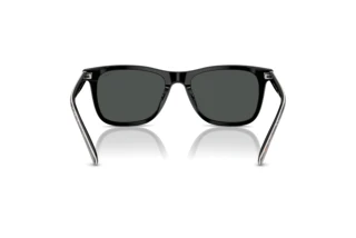 Rückansicht Polo PH4220U (620287)