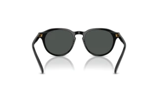 Rückansicht Polo PH4221 (500187)