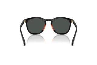 Rückansicht Polo PH4222U (500187)