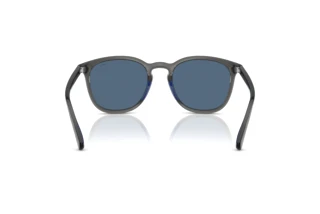 Rückansicht Polo PH4222U (579980)