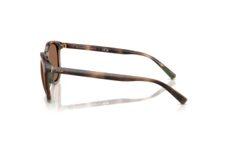 Seitenansicht Polo PH4222U (597473)