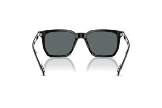 Rückansicht Polo PH4224U (500181)