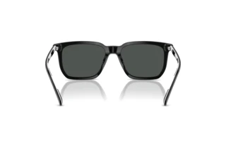 Rückansicht Polo PH4224U (500187)