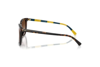 Seitenansicht Polo PH4224U (500313)