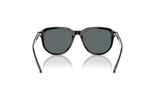 Rückansicht Polo PH4225 (500181)