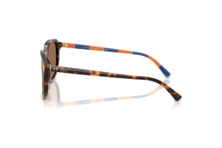 Seitenansicht Polo PH4225 (613773)