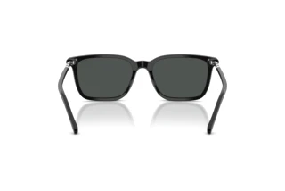 Rückansicht Polo PH4226 (500187)