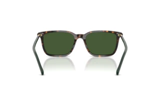 Rückansicht Polo PH4226 (567371)