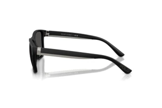 Seitenansicht Polo PH4229U (500187)