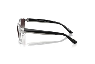 Seitenansicht Polo PH4229U (58698G)