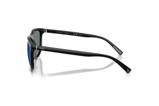 Seitenansicht Polo PH4231U (500122)