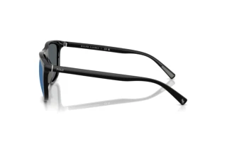 Seitenansicht Polo PH4231U (500155)