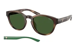 Polo PH4233U 607071 Bottle GreenShiny Dark Havana