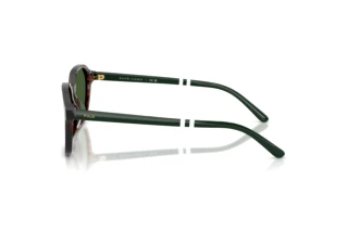 Seitenansicht Polo PH4234U (631571)