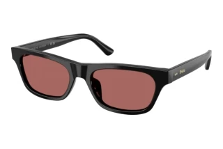 Vorderansicht Polo PH4238U (500169)
