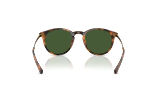 Rückansicht Polo PH4239U (500371)