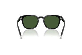 Rückansicht Polo PH4242U (500171)