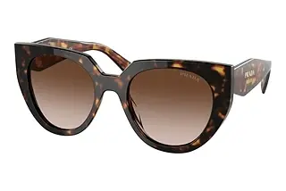Prada PR 14WS 2AU6S1 Brown GradientTortoise