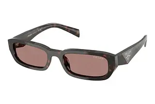 Prada PR B06S 17N60B Light BrownRoot Tortoise