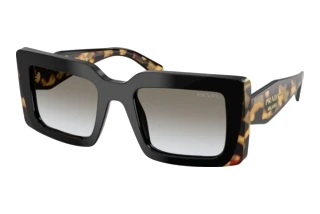 Vorderansicht Prada PR D01S (0CD80L)