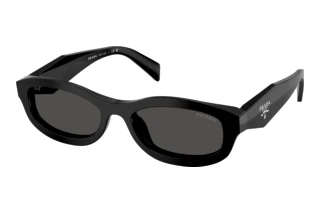 Vorderansicht Prada PR D24S (16K08Z)