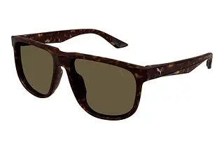 Puma PU0441S 002 HAVANA