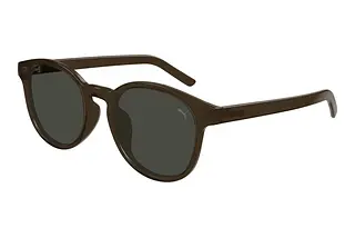 Puma PU0500SA 004 BROWN