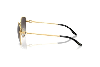 Seitenansicht Ralph Lauren THE VIVIENNE (RL7079 - 90048G)