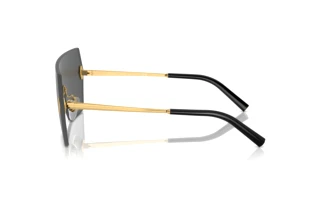 Seitenansicht Ralph Lauren THE HARPER (RL7085 - 900487)