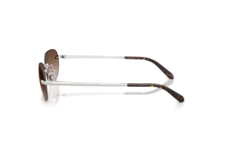 Seitenansicht Ralph Lauren RL7089 (900113)