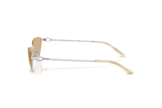 Seitenansicht Ralph Lauren RL7095 (9001/8)